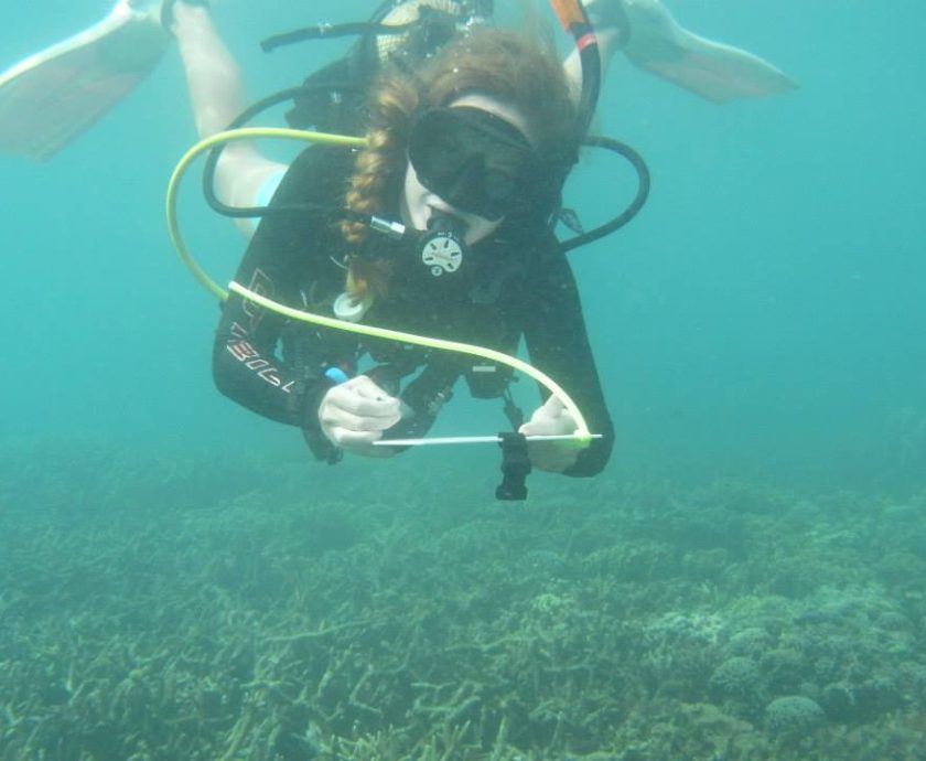 Madagascar Volunteer Marine Conservation & Diving