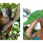 Madagascar Volunteer home slider 2