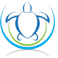 Madagascar Volunteer - Turtle Logo