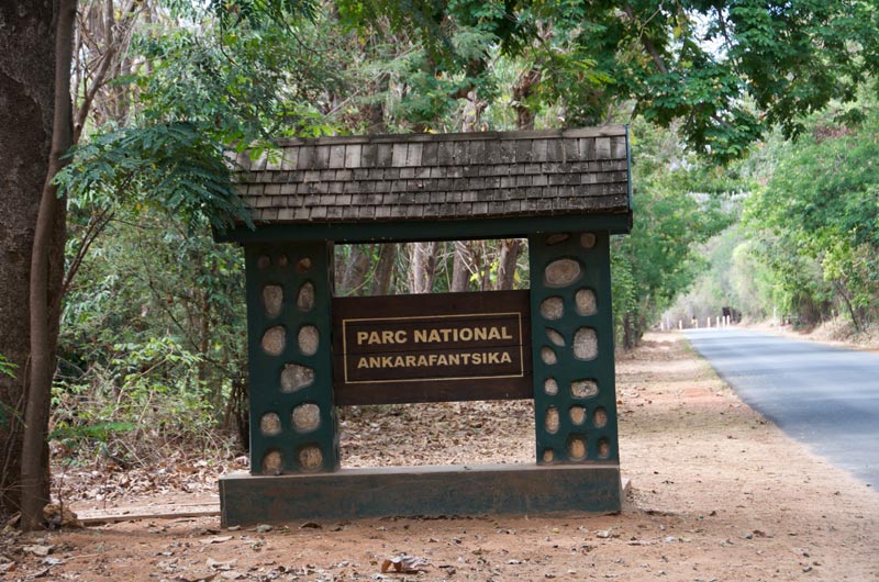 Ankarafantsika National Park, Madagascar