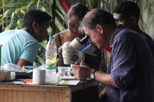 Madagascar Volunteer Partners - Andrew Polaszek