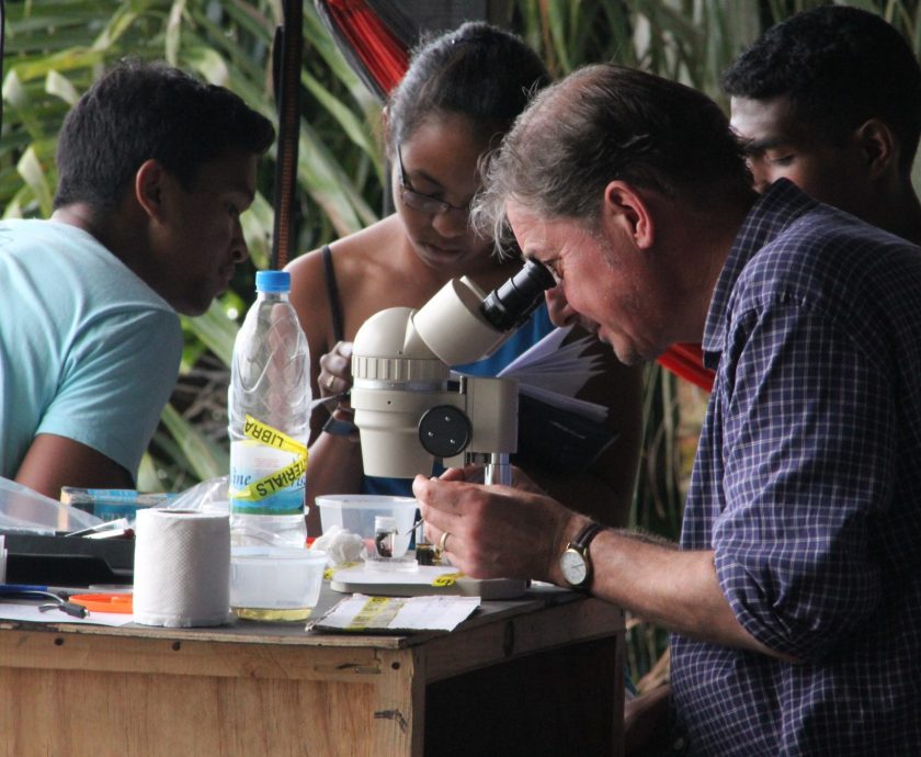 Madagascar Volunteer Partners - Andrew Polaszek