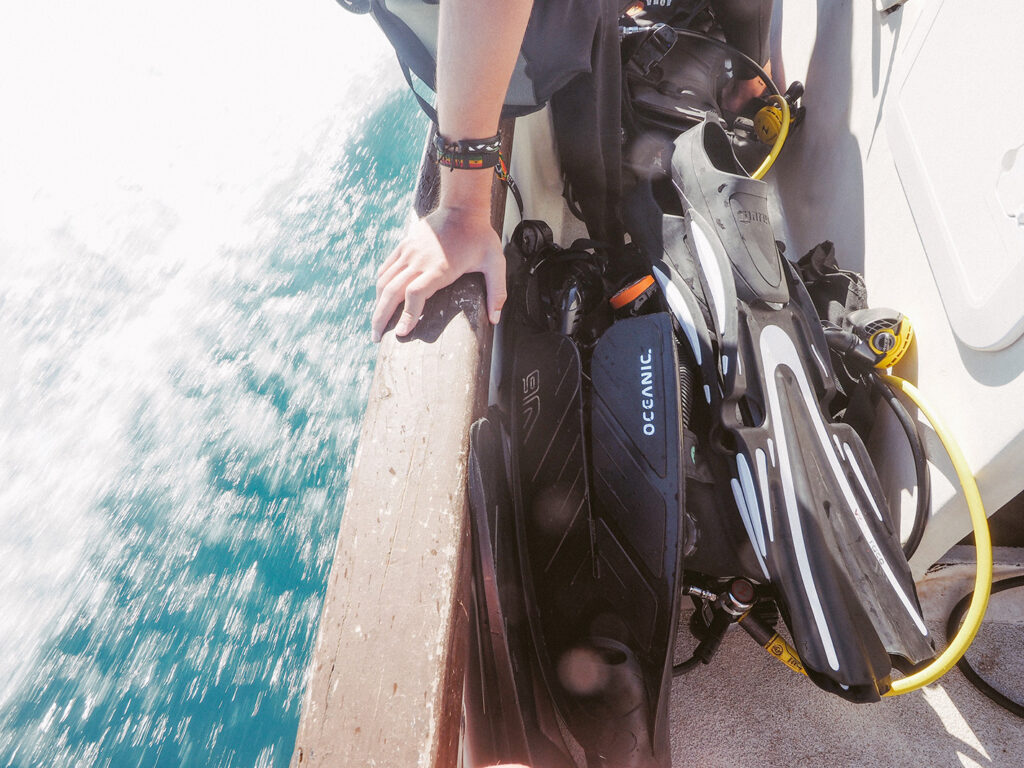 Tanikely dive_09