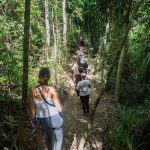 Volunteers Overnight at Lokobe Forest Reserve