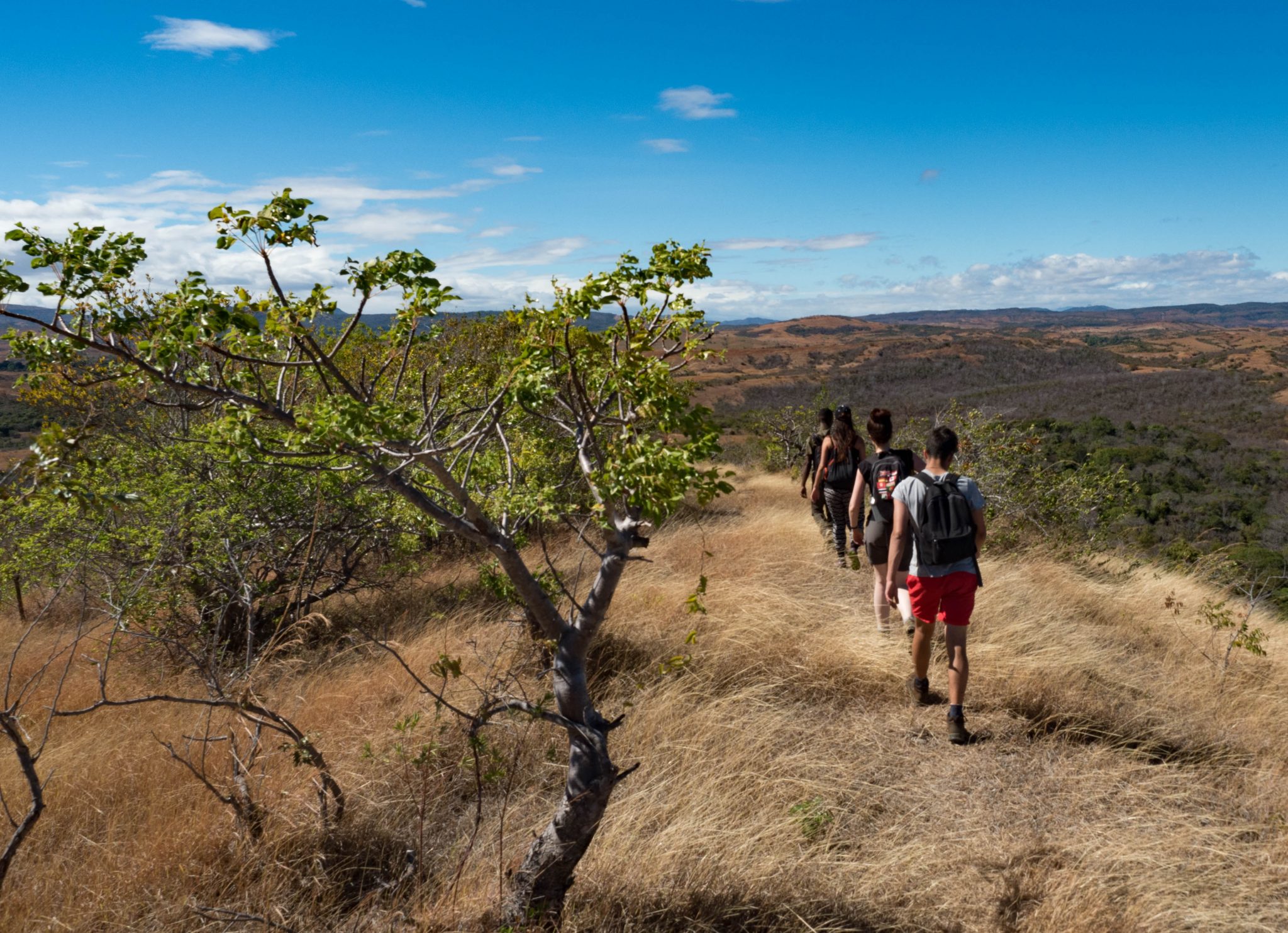 Madagascar Volunteer: Volunteers in Ankarana Forest Reserve