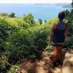 MRCI’s Impact on Conservation and Commitment to the Environment