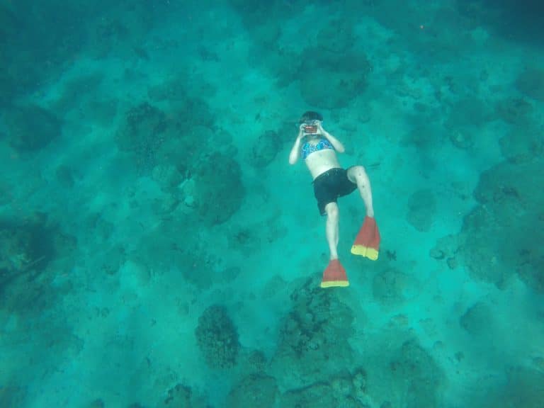 Madagascar Island Outreach Program