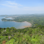 Agroforestry, Bobby Walks and So Much More!