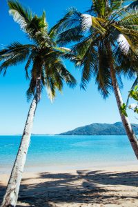 Marine Conservation Program MRCI Q&A