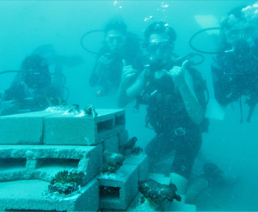 Artificial Reef Diving 2