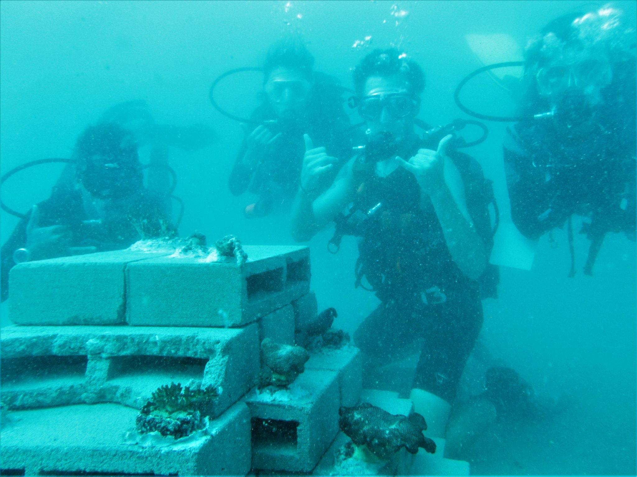Artificial Reef Diving 2
