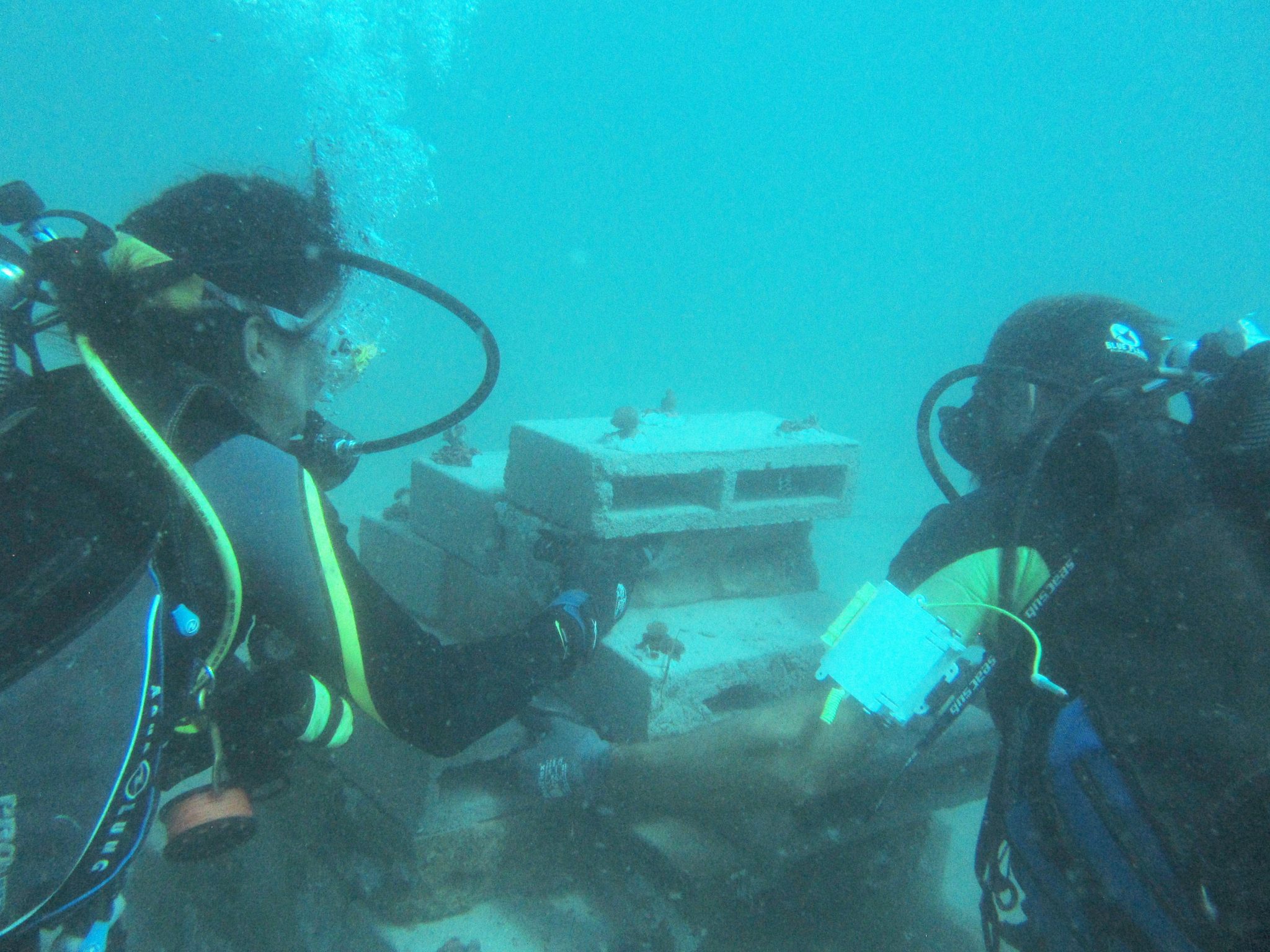 Artificial Reef Diving 1