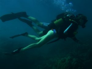 Discovery Dive Blog 1