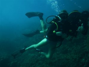 Discovery Dive Blog 2