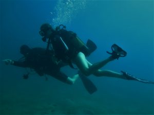 Discovery Dive Blog 3