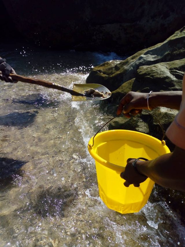 Scorpion Fish Has Been Caught