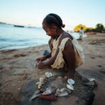 Why Are Seashells Important? | Importance of Seashells in Marine Ecosystems