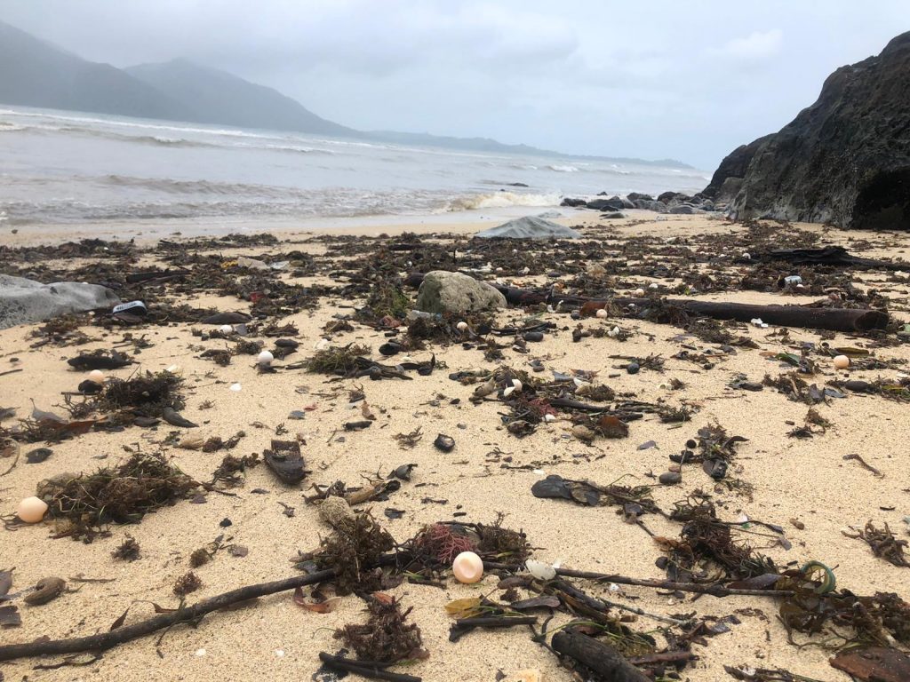 Beach affected by storm, showcasing the impact faced during volunteer conservation efforts during wet season challenges.