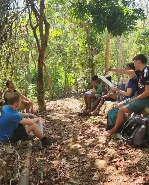 volunteers in the forest