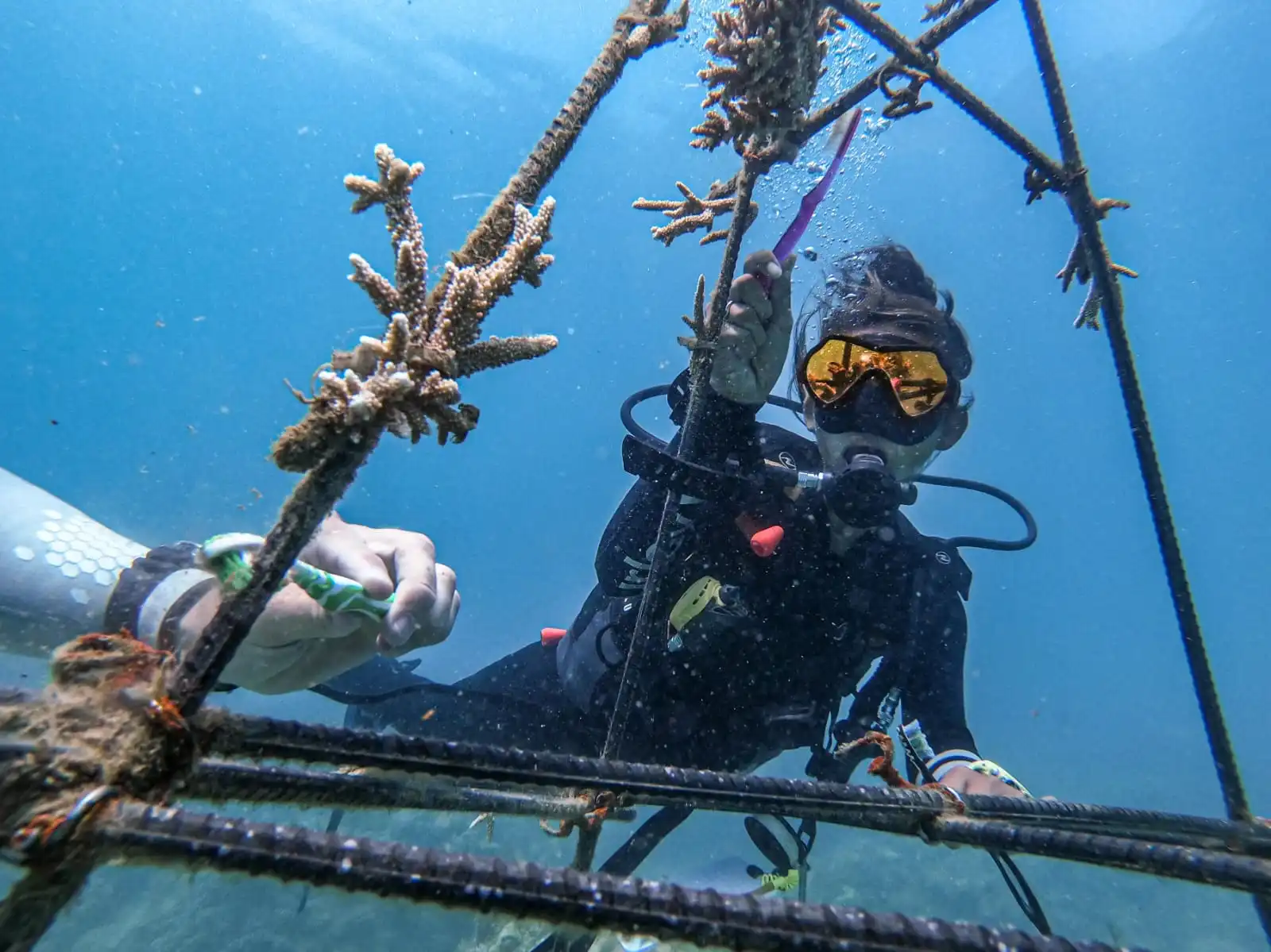 marine conservation in Madagascar