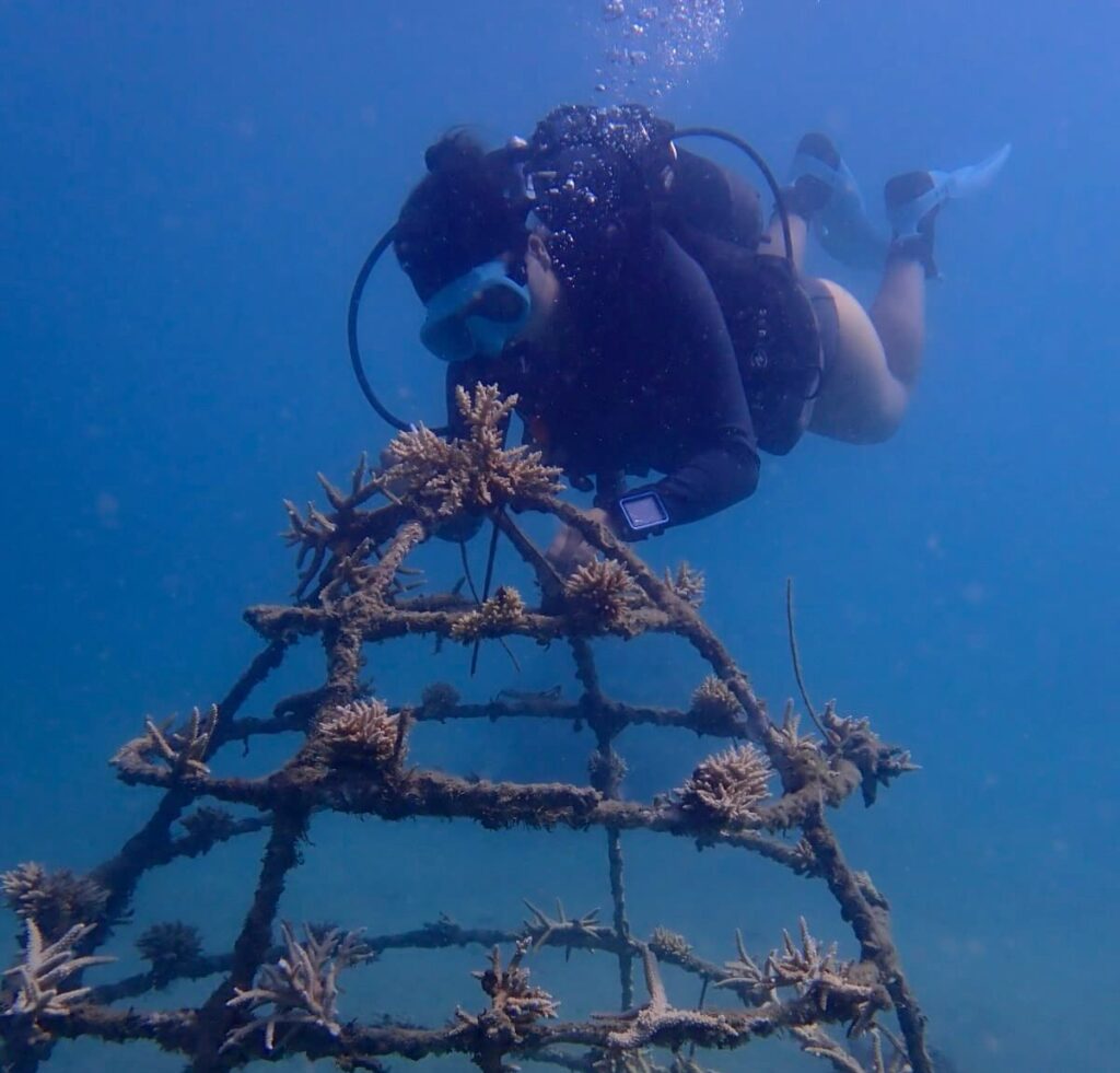 Marine conservation volunteer cleaning artificial reef structure