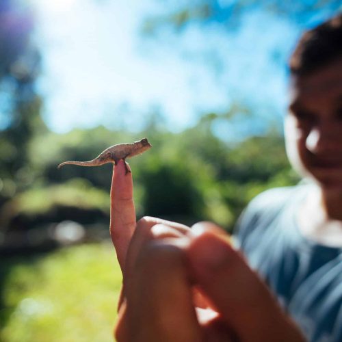 Madagascar Volunteer Forest Conservation MRCI HPT